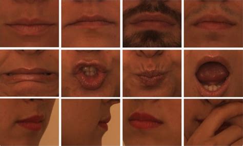 comparative study  face landmarking techniques cyberleninka