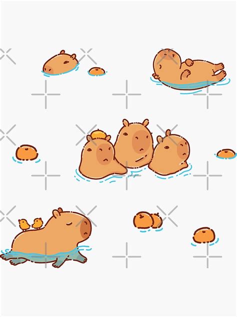 "Capybara pattern swimming with oranges" Sticker by manydoodles | Redbubble