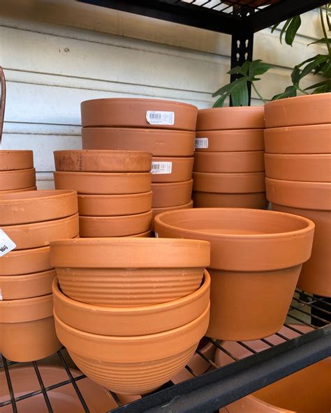 The humble terracotta pot:... - Guildford Town Garden Centre