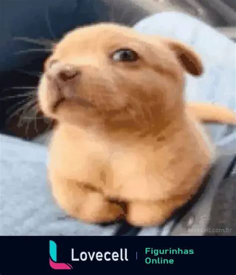 Figurinha Cachorro Desconfiado