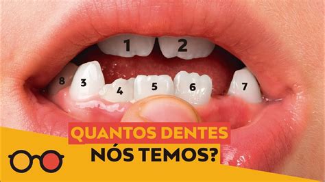 Quantos Dentes Nós Temos - Quantos Dentes Nos Temos - ZULEDU