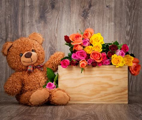 Roses and teddy bear — Stock Photo © Vitaly.R #65673477