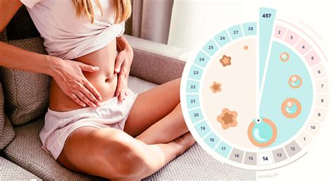 Sinais Que A Menstruação Vai Descer