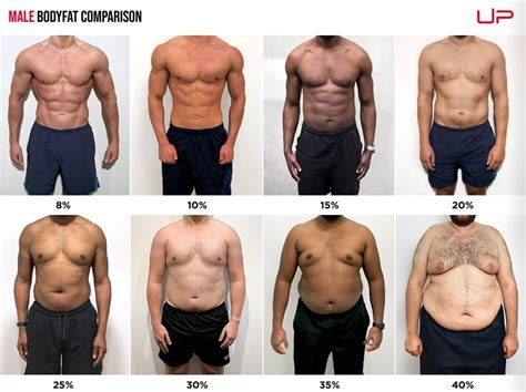 fat percentage rgym
