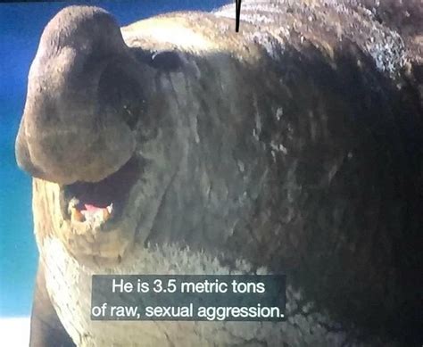 Gamers™ posting their critique of The Last of Us 2 on Metacritic : r ...