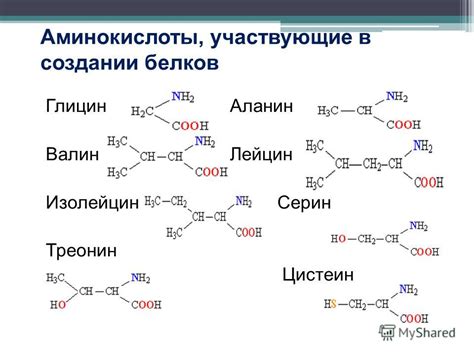 Презентация на тему: "Белки Занятие 4. Белки - сложные ...