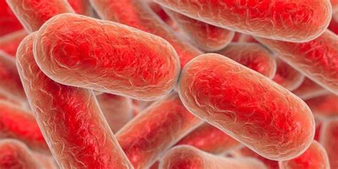 Legionella Symptoms, Causes, and Prevention