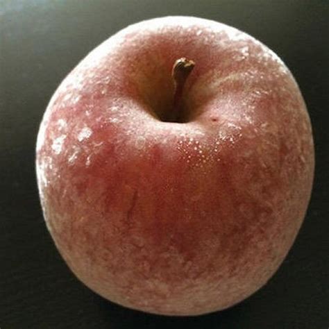 frozen apple wholesale price mandi rate  frozen apple