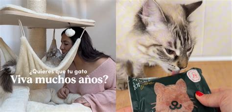 Desirèe Olmeda, experta en gatos: "¿Quieres que tu gato viva muchos