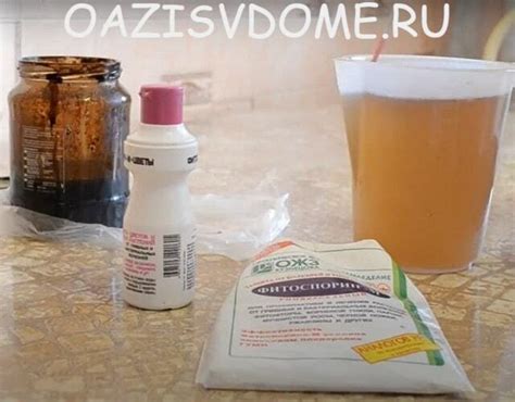 Обработка чеснока перед его посадкой весной и осенью Фитоспорином ...