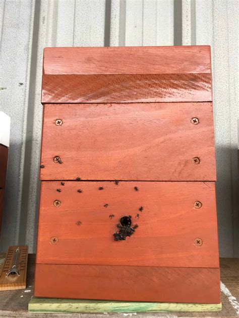 Native Stingless Bee Hives – Gadd Group