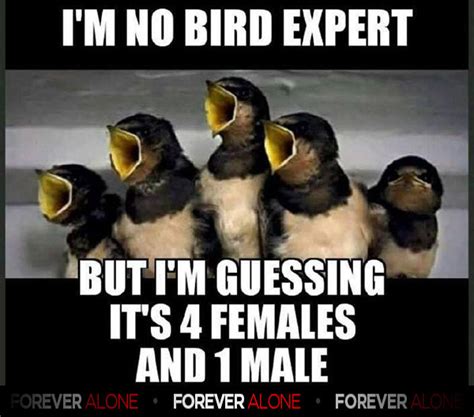 Bird Is The Word - Forever Alone : Forever Alone