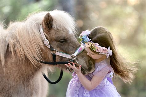 Amber Haines Photography
