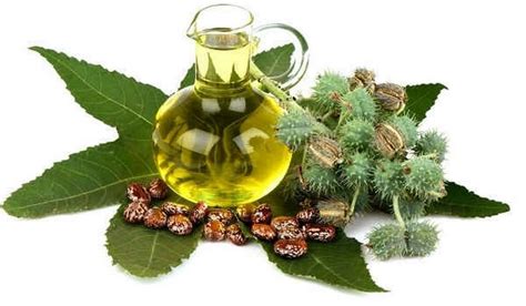 Castor Oil Uses - 10 Awesome Reasons to Keep Castor Oil at Home