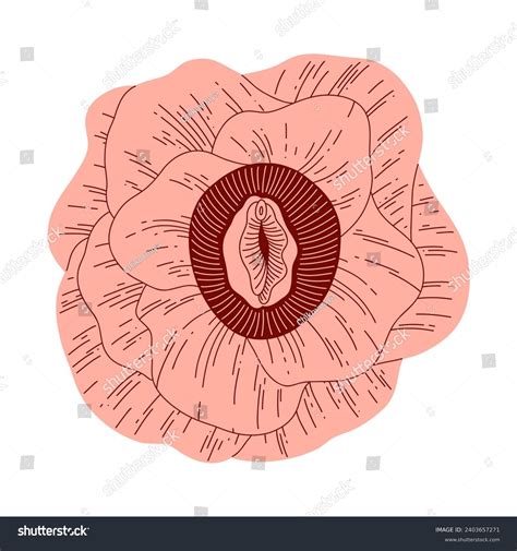 751 Biología Vagina Royalty-Free Images, Stock Photos & Pictures