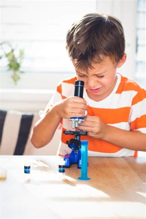 What Is the Best Microscope for Kids?