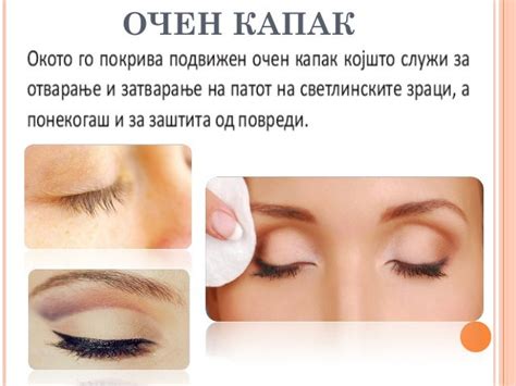 дијана јовановска човечкото око како оптички уред (1)