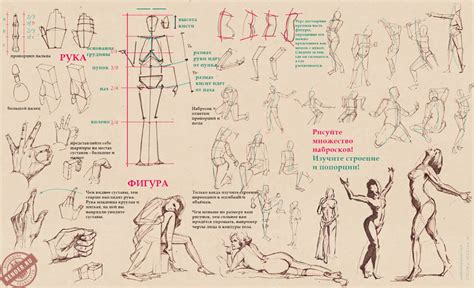 Динамичные наброски - Человеческая фигура | Human figure, Human face ...
