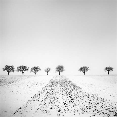 Ian Sanderson - Sophie- Signed limited edition contemporary print