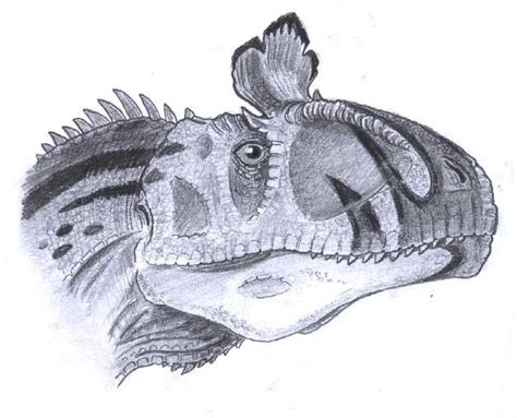 Картинки с динозавром Криолофозавр :: Cryolophosaurus — Энциклопедия ...