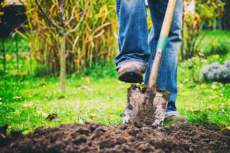 Farmer Digging Earth with Shovel - Rogue Produce