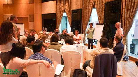 IUCN SSC Small Carnivore Specialist Group | IUCN