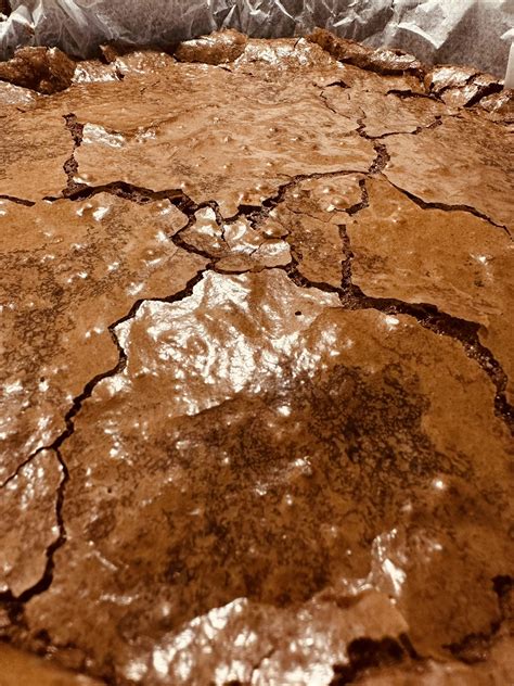 Alix Fembug 🦋🏳️‍⚧️ on Twitter: "@dasporal https://t.co/D7VJPBMM99