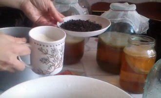 Гриб в банке для питья - польза и вред, свойства, уход, как правильно ...