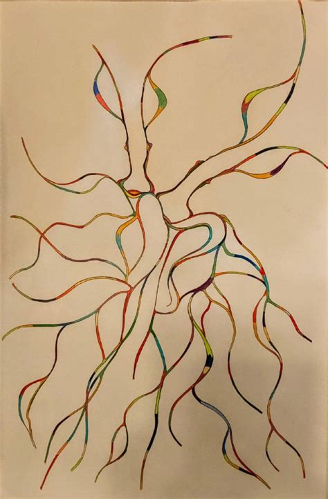 Simplicity and Complexity – Timeless Voices USA
