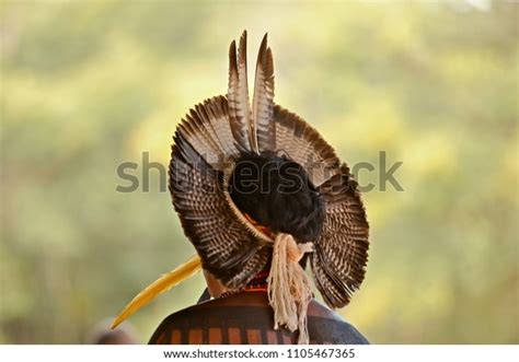 Indigenous Brazil Tupi Photos and Images & Pictures | Shutterstock