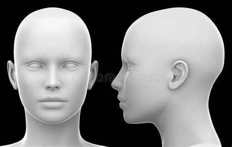 Blank White Female Head - Side and Front View Isolated on Black Stock ...