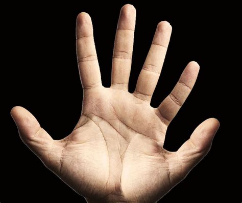 Fingers Picture