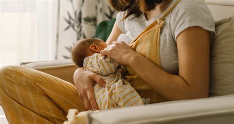 mari kenal ciri ciri asi berkualitas