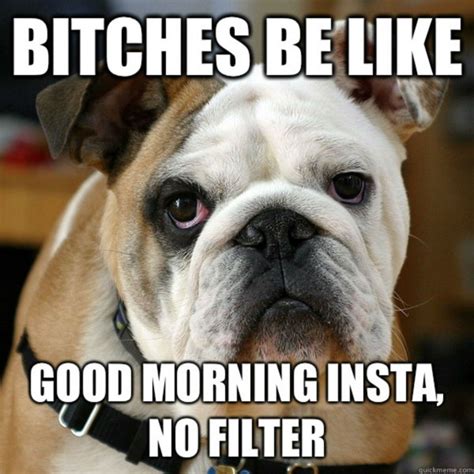 funny good morning memes  start   day