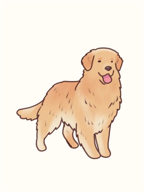 Golden Retriever Drawing