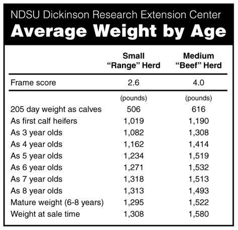 Finding the Right Cow Size is Not Simple | Ohio BEEF Cattle Letter