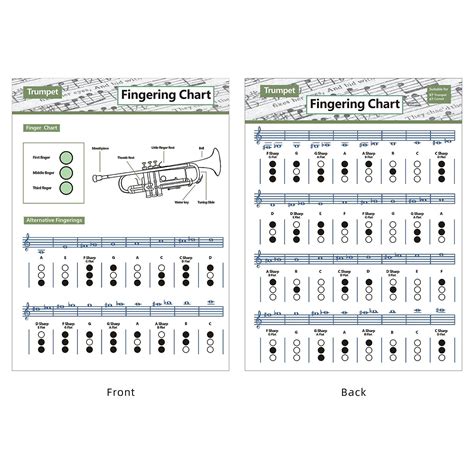 Buy MUMIAO Trumpet Chord Fingering Chart | Trumpet Fingering Trumpet