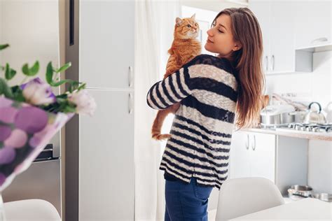 Q&A -"Can our executive committee force lot owners to de-sex pets