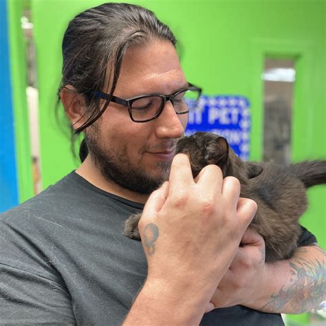 bullhead city animal shelter 10