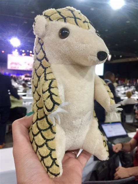 The World Without Wildlife | Pulitzer Center