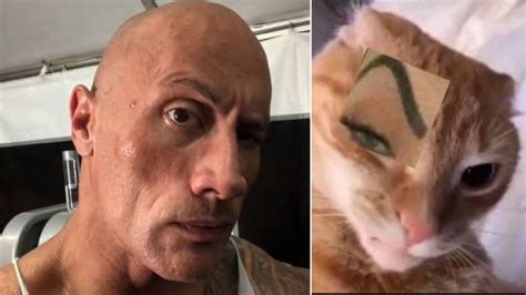 rock raising  eyebrow   massive meme trend