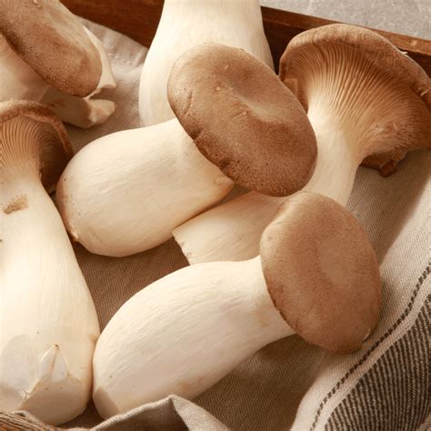 mushrooms       vegan cooking vegnews