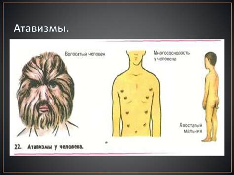 Доказательства эволюции - online presentation