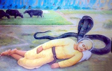 guru nanak dev ji   cobra sikhism spiritual practices sikh