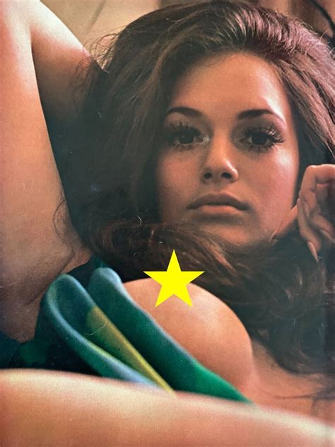 70s Playboy Centerfold