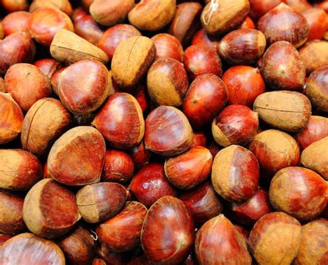 premium photo chestnut