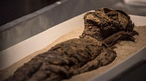 Por Que Os Egípcios Mumificavam Os Mortos - A incrível civilização antiga que mumificava os mortos 2 mil anos antes ...