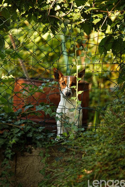Balades en Drôme-Ardèche: 2020