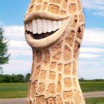 funny peanut meme generator imgflip