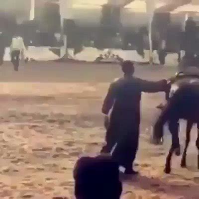 fun viral vids  twitter   turn